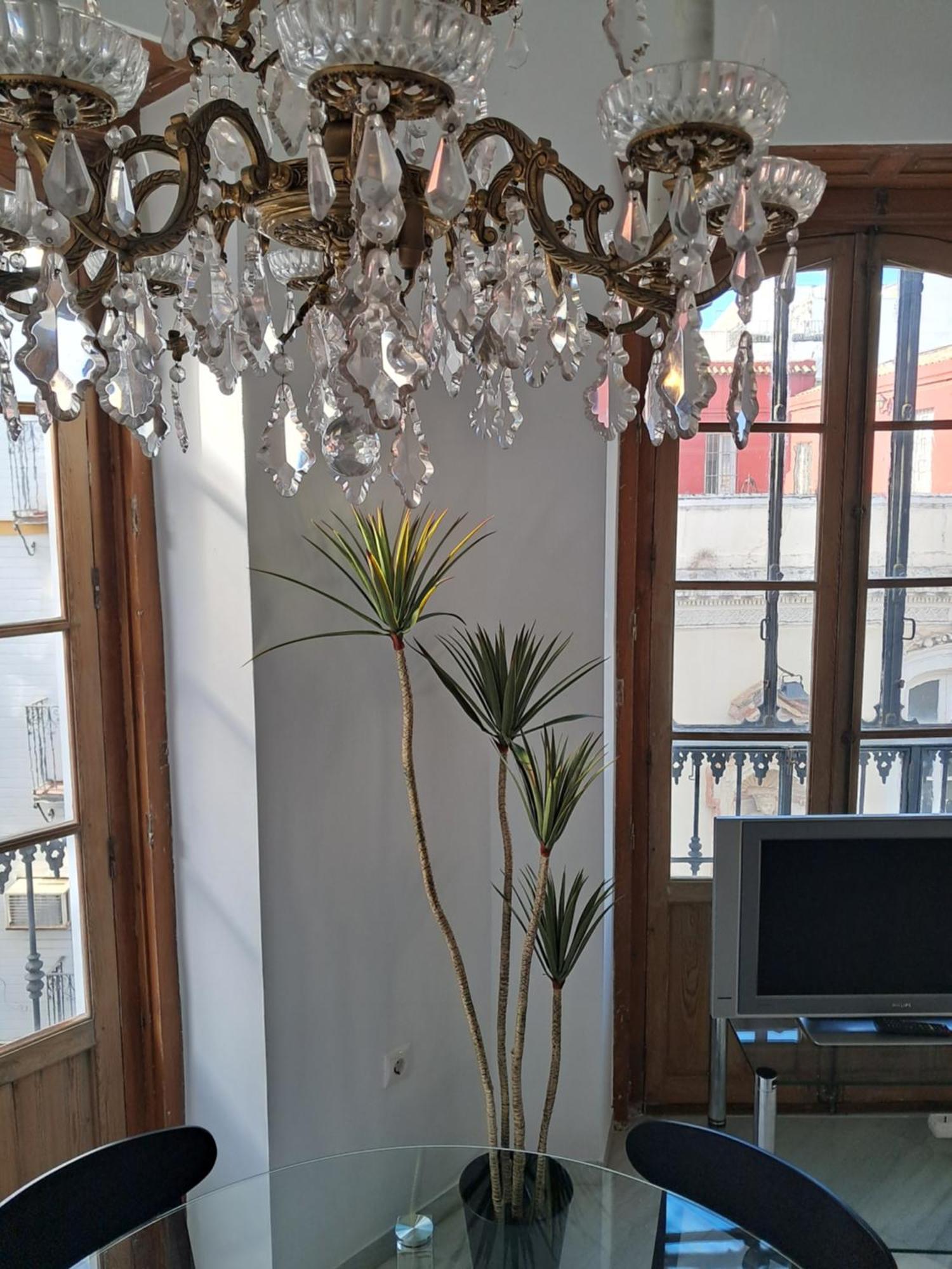 Apartamentos Almirante Hoyos Seville Ngoại thất bức ảnh
