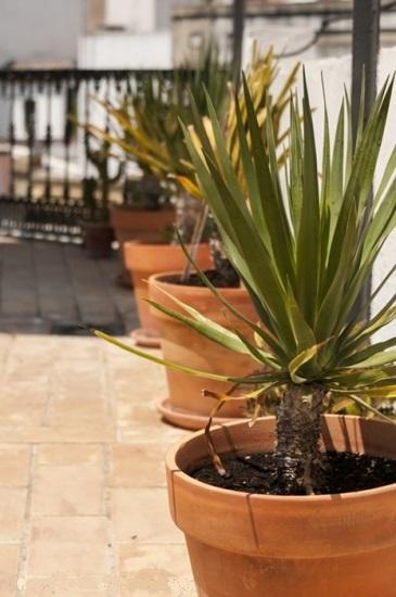 Apartamentos Almirante Hoyos Seville Ngoại thất bức ảnh